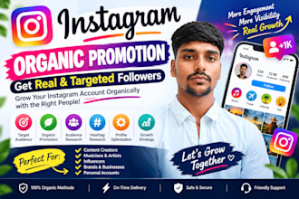 instagram organic promotion and targeted audience growth