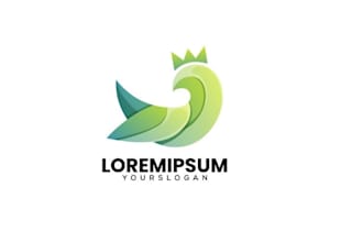 design colorful bird abstract logo