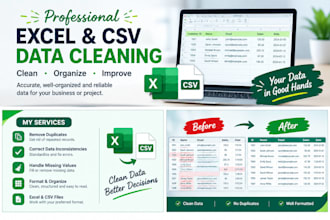 clean and organize your excel data