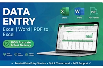 do data entry, typing work, pdf to word and excel data entry