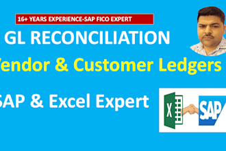 do expert customer, vendor, and gl ledger reconciliation
