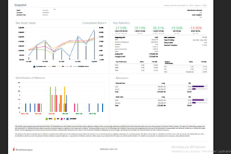 discretionary portfolio management mam