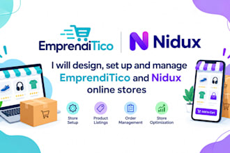 setup design and manage emprenditico and nidux online stores