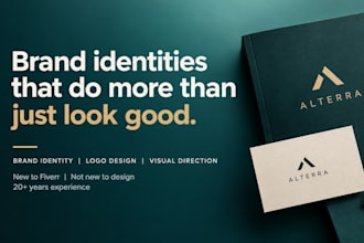 create a professional brand identity and visual direction