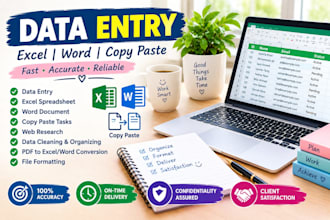 data entry, excel and word sheets
