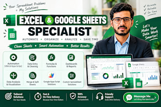 clean,organize, format and standardize your messy excel data