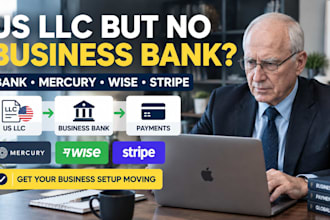 set up USA business bank mercury wise and stripe for your llc