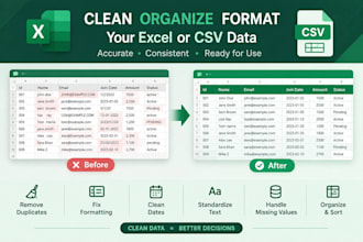clean format and organize excel or CSV data