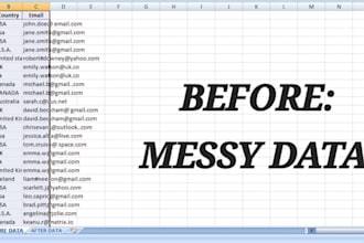do excel data cleaning and data filtering professionally