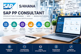 provide expert sap pp consulting support and training