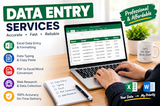 do data entry, excel data entry and typing and editing