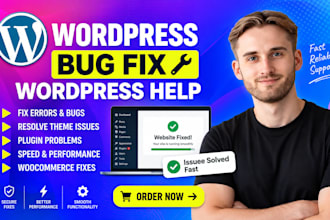 fix wordpress issues, wordpress errors, wordpress bug fix and wordpress help