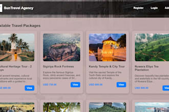 create a professional tourism agency website