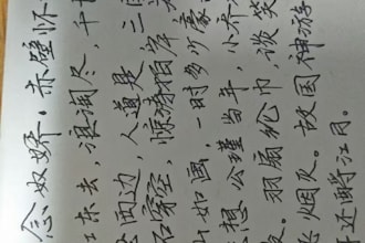 do chinese to english translation, mandarin to cantonese translation