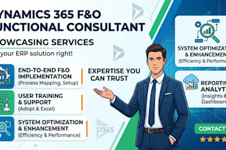 provide ms d365 finance and operations functional consulting