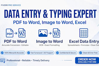 do fast typing, data entry, pdf to word, copy paste work