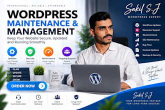 manage and maintenance your wordpress website