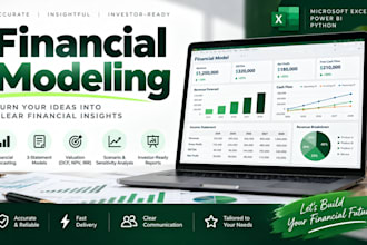 build a professional financial model in excel