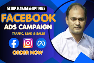 run and setup fb ads campaign, fb marketing, meta ads and instagram ads