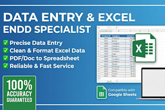 do accurate data entry and excel data cleanup