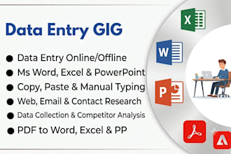 be your professional data entry and microsoft office expert