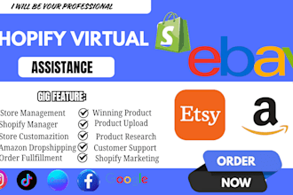virtual assistance and personal virtual assistant
