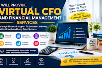 provide virtual cfo and financial management services