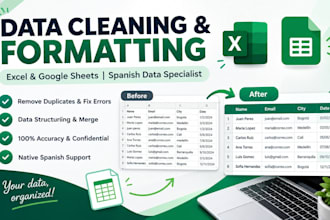 organize, clean and format your excel and google sheets in spanish