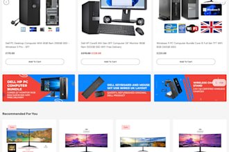 build a professional shopify store