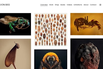 design squarespace photography website photographer website portfolio website