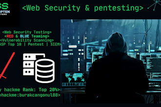 test your website for security vulnerabilities