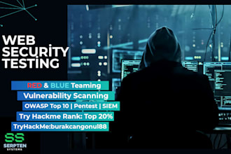 professional web security test and report