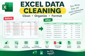 clean and organize excel data and remove duplicates