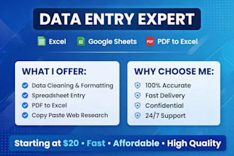 data entry excel data entry pdf to excel copy paste work