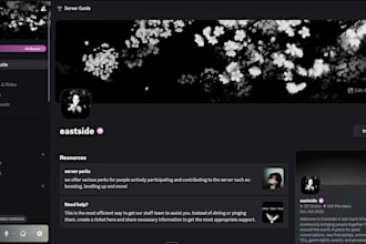 setup discord servers for you