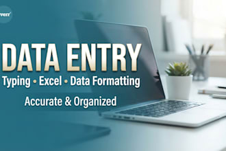do accurate data entry and excel data formatting