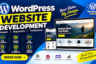 create a professional website design, wordpress website development