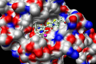 conduct molecular docking and virtual screening
