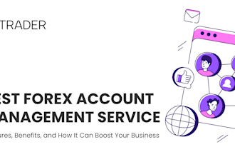 do best account management, mt4 or mt5 account management