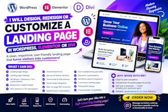 design or redesign landing page in wordpress using elementor pro, divi, ocean wp