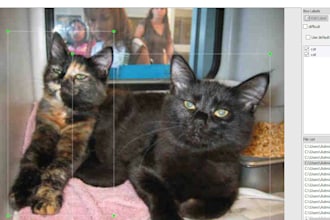 annotate images for ai and machine learning