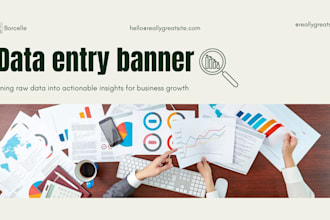 do professional excel data entry and data management