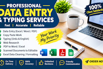 do professional data entry, copy paste and urdu typing