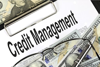 credit repair, inquiry, charge off, late payment, collection, credit score in24h
