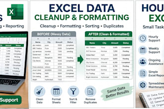 provide reliable and affordable basic excel, data entry, data clean up