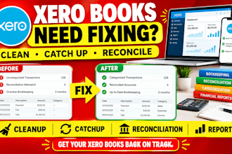 fix xero books, cleanup, catchup, reconciliation, categorization, reports