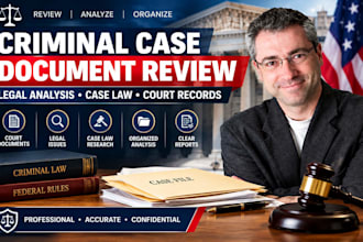 review your criminal case documents and provide legal analysis