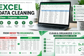 clean format and organize your excel data