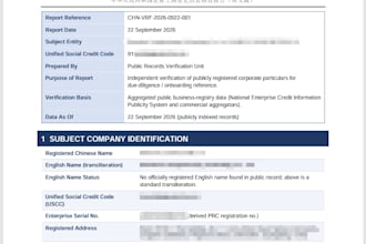 china company public record verification