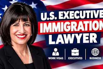 provide US executive immigration lawyer advice for work visas